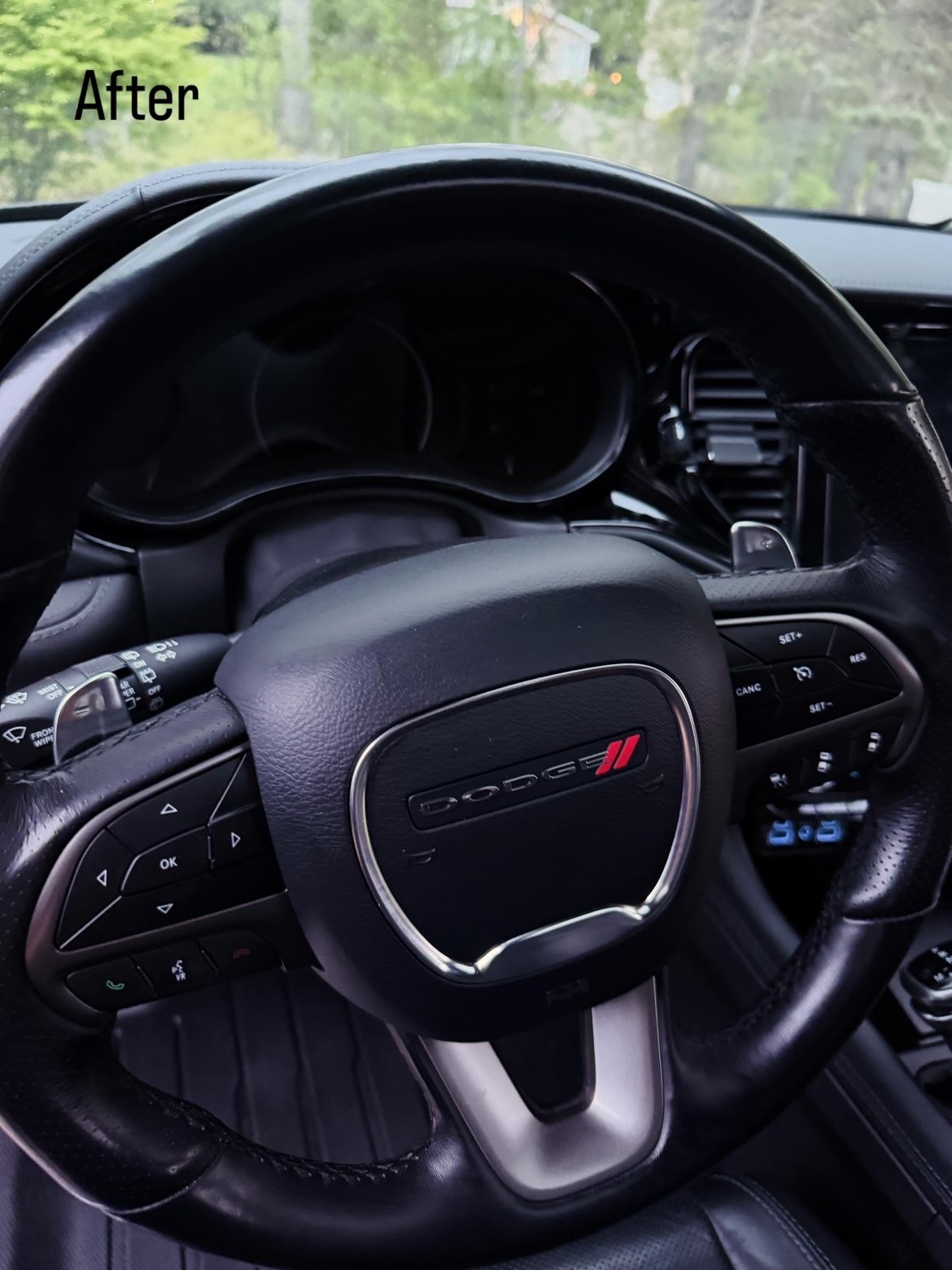 Dodge interior detail result